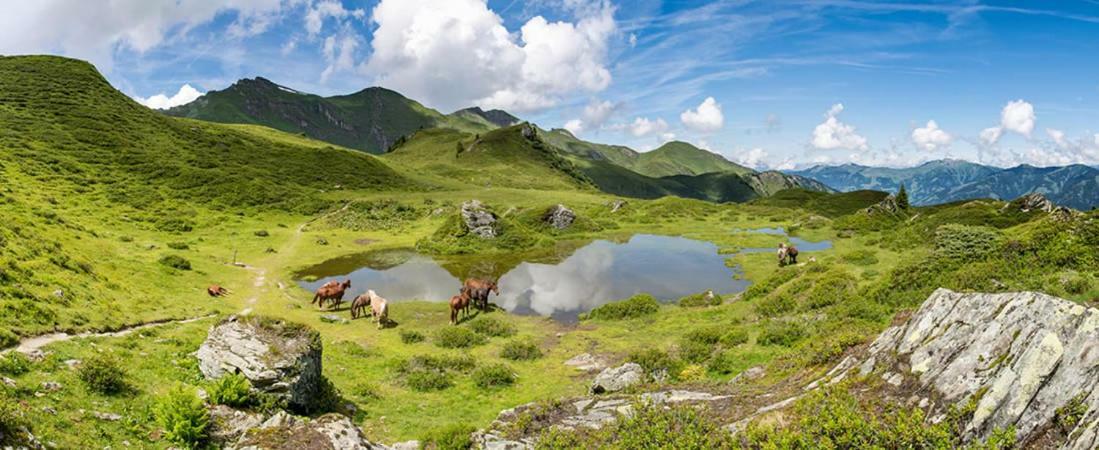 Streitberghof Apartment บาดกัสไตน์ ภายนอก รูปภาพ